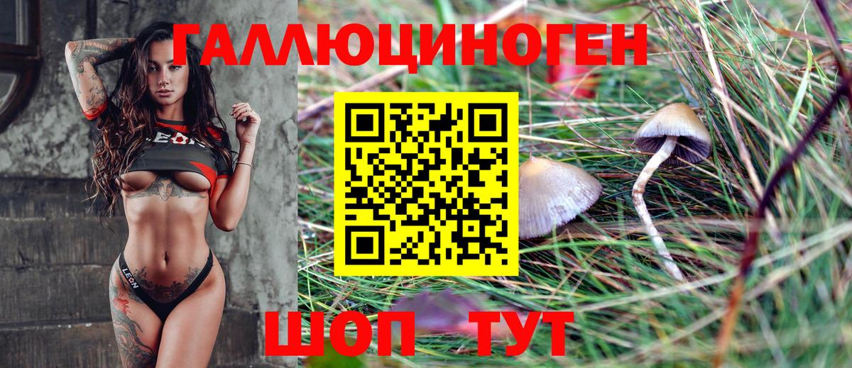 Псилоцибиновые грибы ЛСД Северск