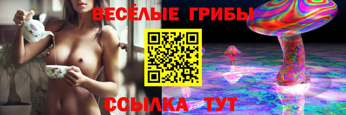 Галлюциногенные грибы ЛСД  Вход с VPN  Псилоцибиновые грибы ЛСД  Северск 
