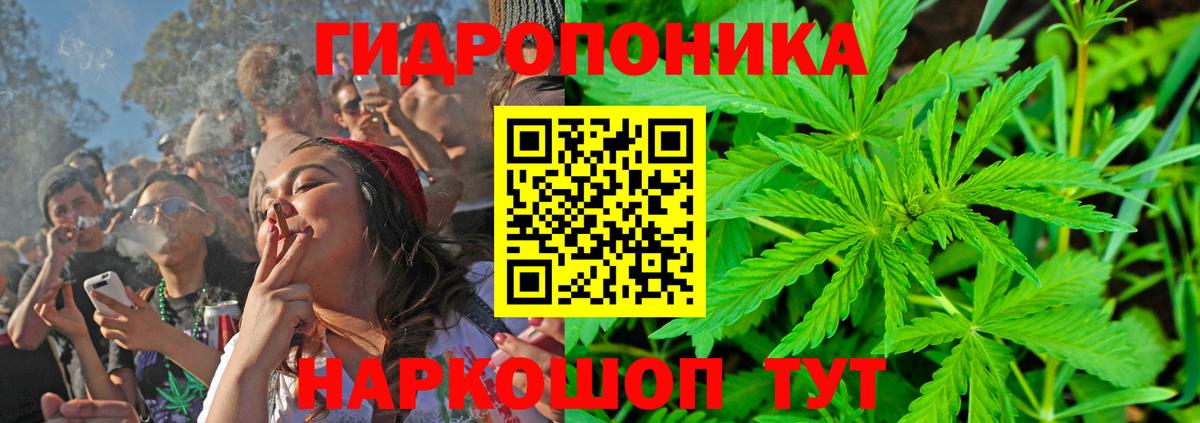 Шишки марихуана White Widow Северск